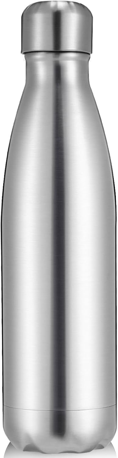 Volhoply 25oz Insulated Water Bottle 1/2/4 Pack, Double Wall Stainless Steel Vacuum Bottles, Keeps Cold & Hot, BPA Free Leak Proof Bottles (Silver,1 Pack)